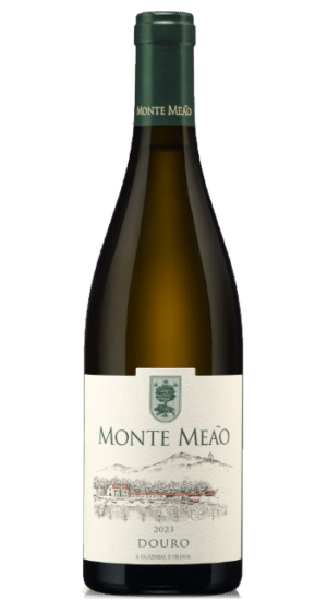 Monte Meão